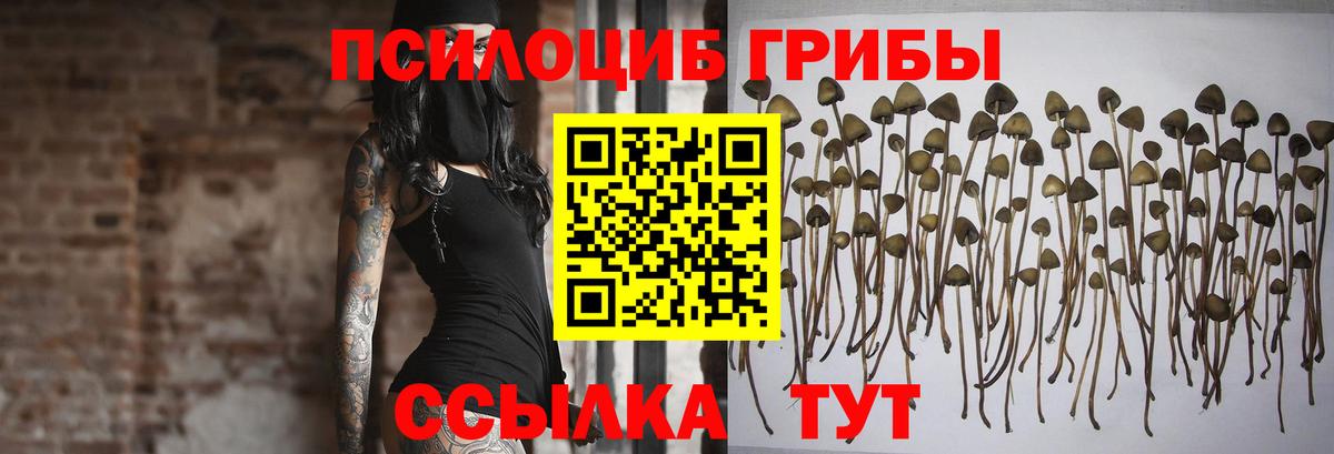 Галлюциногенные грибы Psilocybine cubensis  Вход с VPN  Псилоцибиновые грибы ЛСД  Кузнецк 